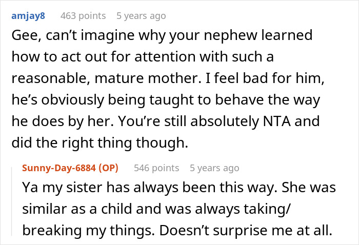 Reddit comments discussing a woman who took back her nephew’s Christmas gift over his behavior issues.