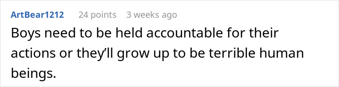 Comment stating boys must be held accountable for bullying actions instead of blaming their gender at the playground. Comment stating boys must be held accountable for bullying actions instead of blaming their gender at the playground.