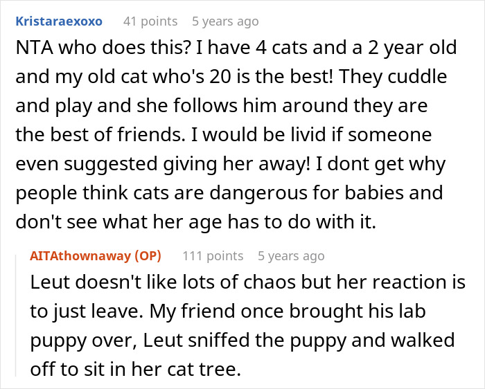 Pregnant Daughter Decides To Put Dad’s Cat In A Shelter Because Of Her Baby’s Safety, Gets Kicked Out Pregnant Daughter Decides To Put Dad’s Cat In A Shelter Because Of Her Baby’s Safety, Gets Kicked Out