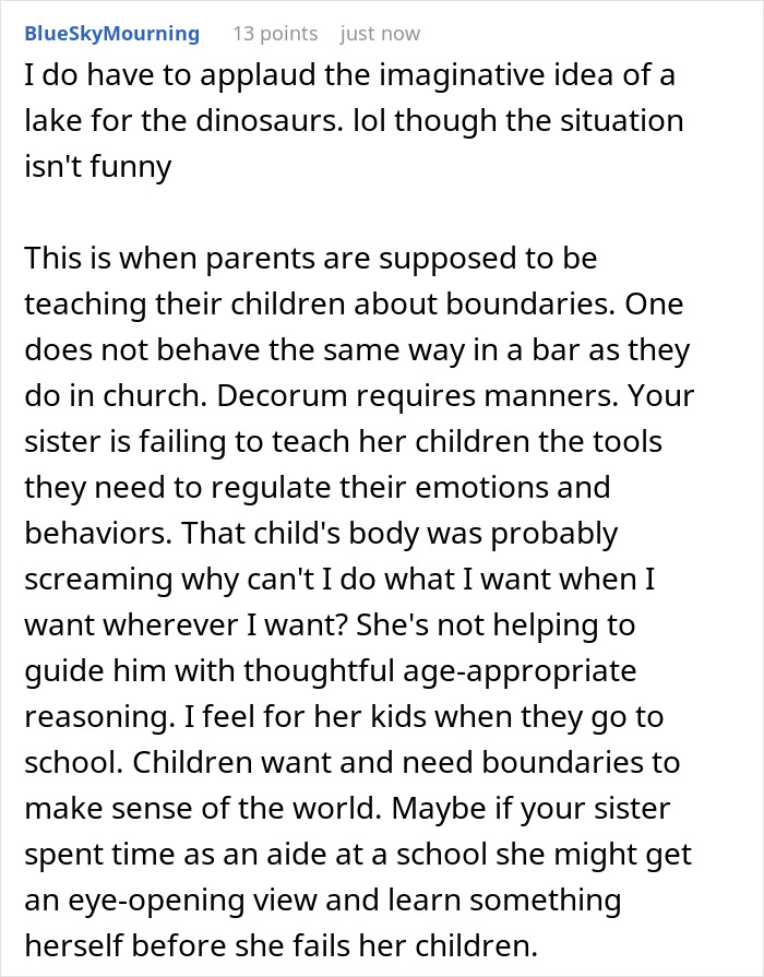 Comment discussing sister gentle parenting house, focusing on teaching children boundaries and emotional regulation. Comment discussing sister gentle parenting house, focusing on teaching children boundaries and emotional regulation.