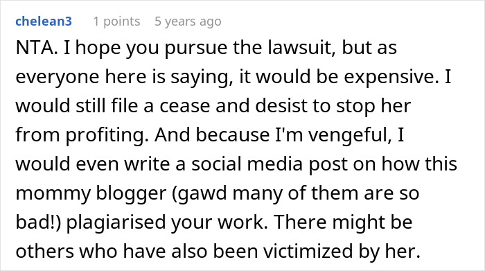 Reddit comment discussing a woman stealing her sister-in-law’s book and the consequences of publishing plagiarized work.