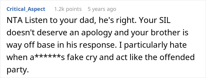 Screenshot of an online comment discussing a grieving dad trying to make his daughter's birthday special amid SIL mocking him for spending less.