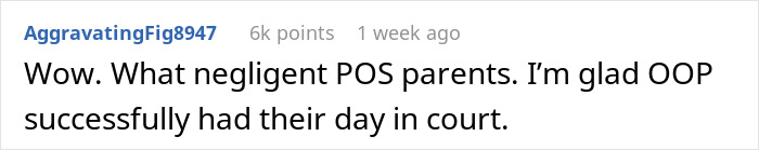 Comment text on a forum discussing kids using neighbor’s yard without asking leading to injury and lawsuit.