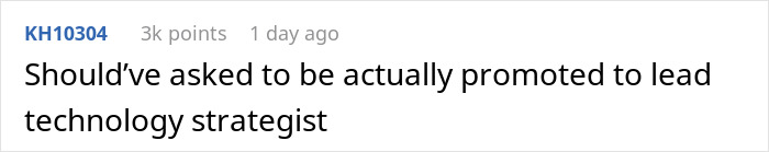 Screenshot of an online comment about a female software developer invited to client meetings to be a pretty face.