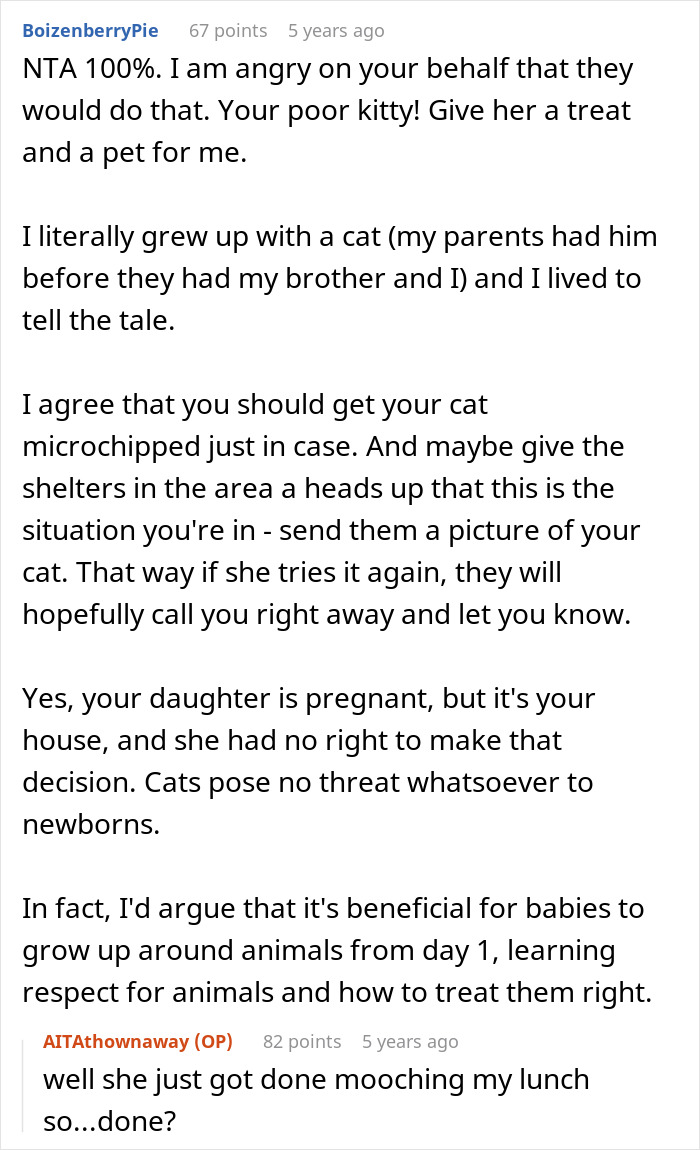 Comment discussing pregnant daughter deciding to put dad&rsquo;s cat in a shelter and the safety concerns for her baby.