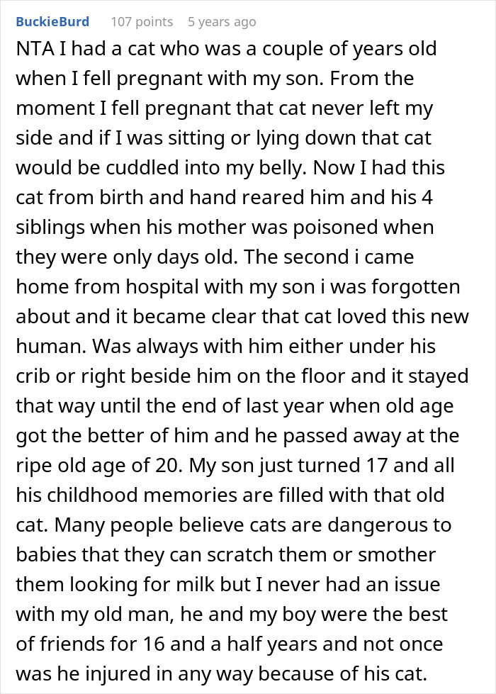 Pregnant Daughter Decides To Put Dad’s Cat In A Shelter Because Of Her Baby’s Safety, Gets Kicked Out Pregnant Daughter Decides To Put Dad’s Cat In A Shelter Because Of Her Baby’s Safety, Gets Kicked Out