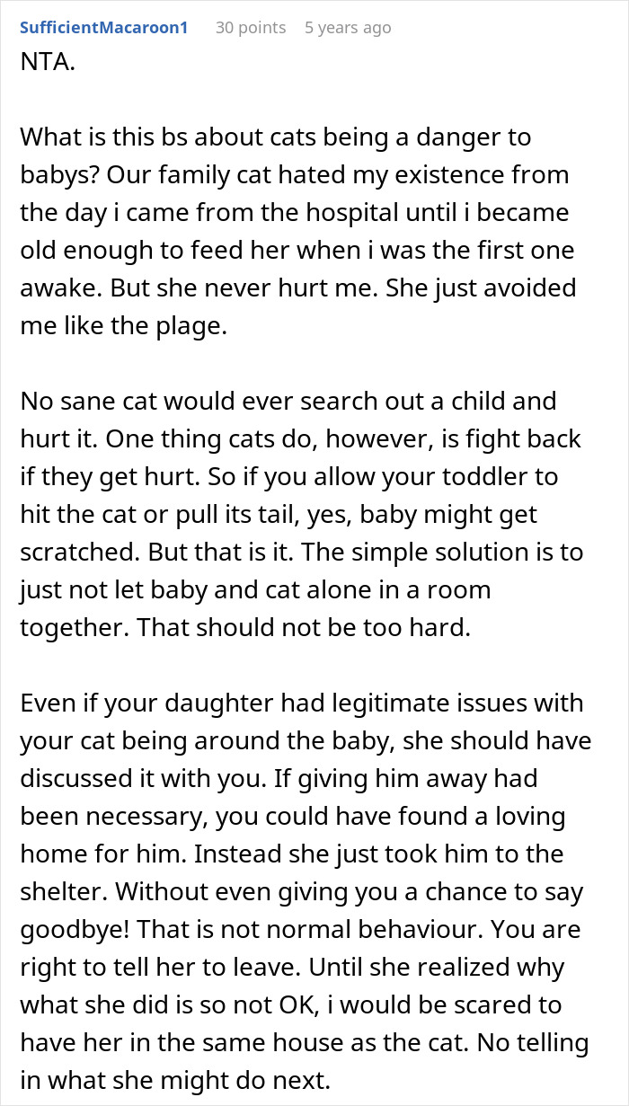 Screenshot of a Reddit comment discussing concerns about a cat&rsquo;s safety around a baby and family disagreements.