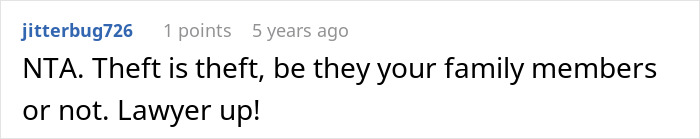 Screenshot of an online comment discussing theft involving a woman who stole her sister-in-law’s book and faced consequences.