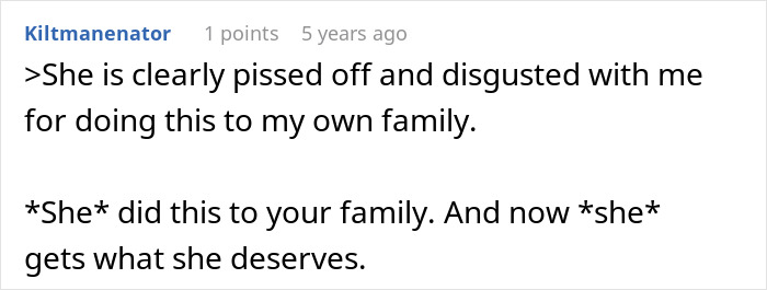 Reddit comment expressing anger over a woman stealing her sister-in-law’s book and facing consequences.