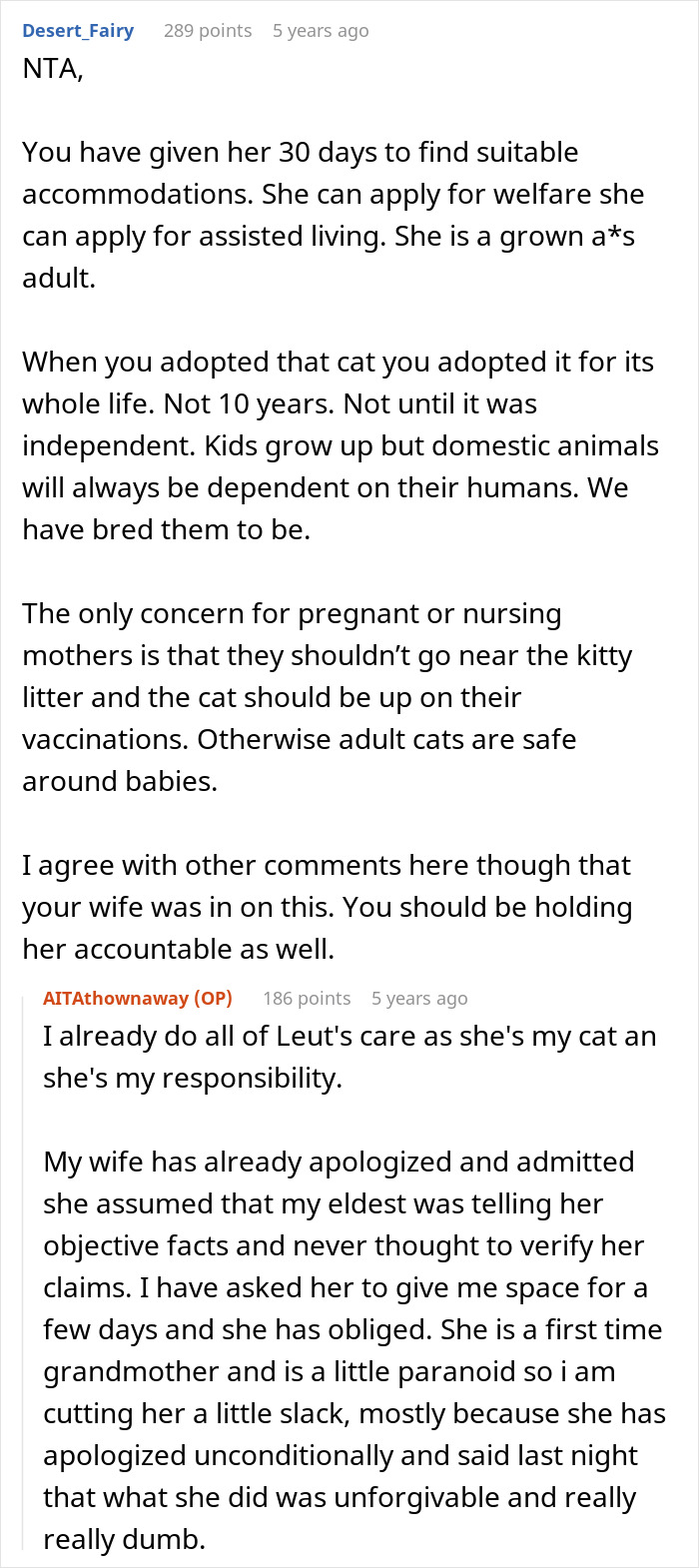 Comment discussing pregnant daughter's decision to put dad&rsquo;s cat in a shelter for baby safety concerns.