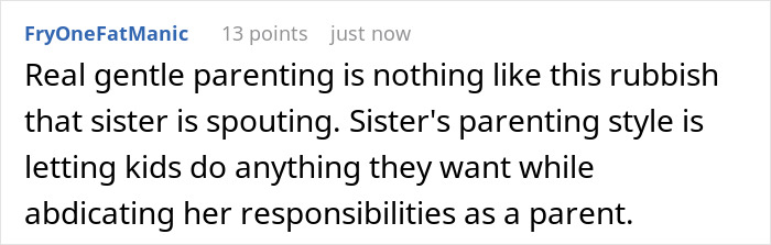 Comment criticizing sister’s gentle parenting style, highlighting neglect of responsibilities in a parenting house context.