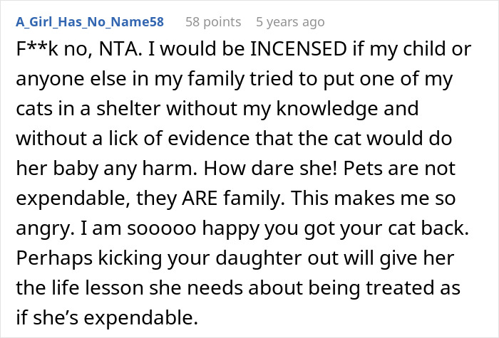 Pregnant Daughter Decides To Put Dad’s Cat In A Shelter Because Of Her Baby’s Safety, Gets Kicked Out Pregnant Daughter Decides To Put Dad’s Cat In A Shelter Because Of Her Baby’s Safety, Gets Kicked Out