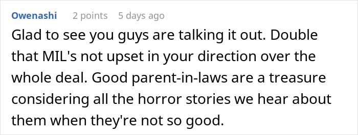 Screenshot of an online comment discussing family dynamics involving a lady trying to drive a wedge between brother and wife.