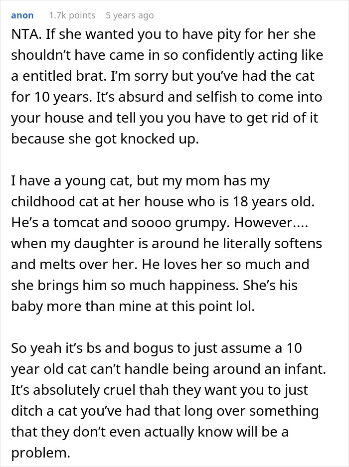 Pregnant Daughter Decides To Put Dad’s Cat In A Shelter Because Of Her Baby’s Safety, Gets Kicked Out Pregnant Daughter Decides To Put Dad’s Cat In A Shelter Because Of Her Baby’s Safety, Gets Kicked Out