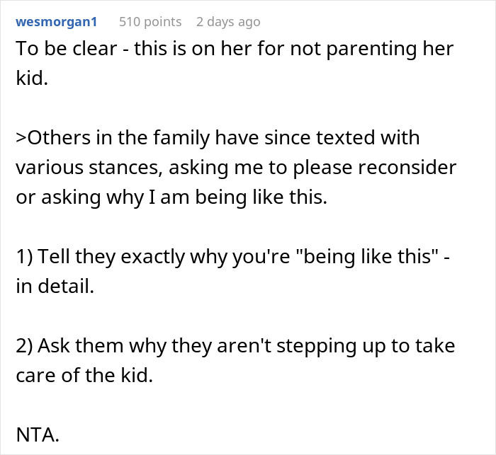 Reddit comment discussing refusal to babysit badly behaved nephew and calling sister selfish for not helping in hospital. Reddit comment discussing refusal to babysit badly behaved nephew and calling sister selfish for not helping in hospital.