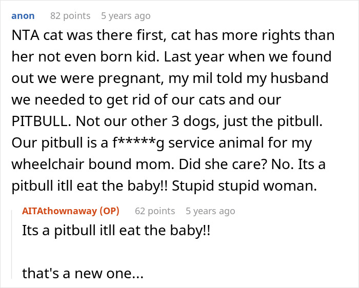 Pregnant Daughter Decides To Put Dad’s Cat In A Shelter Because Of Her Baby’s Safety, Gets Kicked Out Pregnant Daughter Decides To Put Dad’s Cat In A Shelter Because Of Her Baby’s Safety, Gets Kicked Out