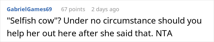 Screenshot of an online comment discussing a woman called selfish for refusing to babysit a badly behaved nephew. Screenshot of an online comment discussing a woman called selfish for refusing to babysit a badly behaved nephew.