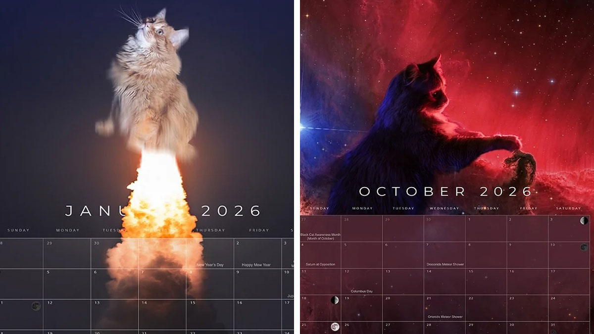 Rescue cat edited with cosmic effects for the 2026 feline space calendar by an astrophotographer.