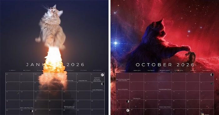 Meet Gregory, The Rescue Cat Who Now Stars In His Owner’s Space Photography Calendar (12 Pics)