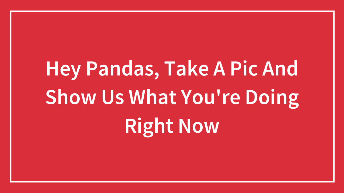 boredpanda.com - Community Panda - Hey Pandas, Take A Pic And Show Us What You're Doing Right Now