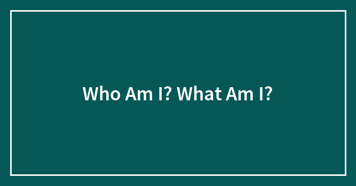 Who Am I? What Am I?