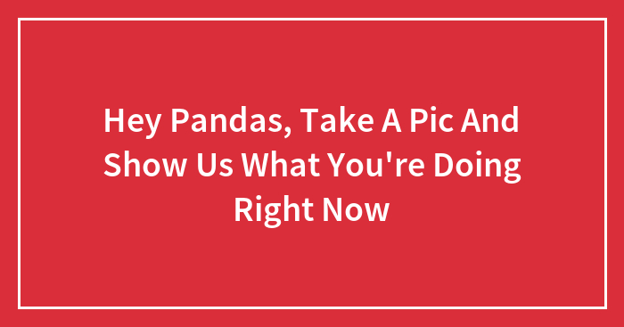 Hey Pandas, Take A Pic And Show Us What You’re Doing Right Now