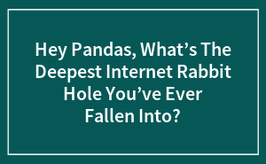 Hey Pandas, What’s The Deepest Internet Rabbit Hole You’ve Ever Fallen Into?