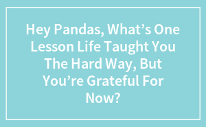 Hey Pandas, What’s One Lesson Life Taught You The Hard Way, But You’re Grateful For Now?