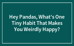 Hey Pandas, What’s One Tiny Habit That Makes You Weirdly Happy?