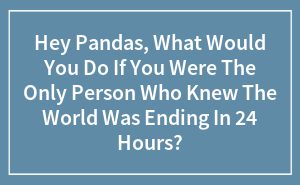 Hey Pandas, What Would You Do If You Were The Only Person Who Knew The World Was Ending In 24 Hours?