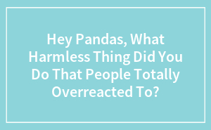 Hey Pandas, What Harmless Thing Did You Do That People Totally Overreacted To?