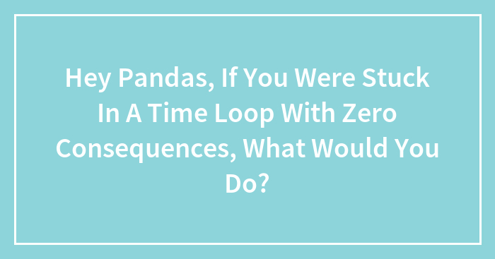 Hey Pandas, If You Were Stuck In A Time Loop With Zero Consequences, What Would You Do?