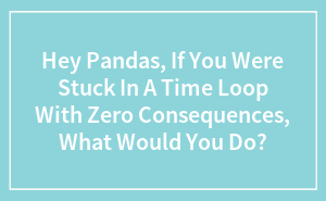 Hey Pandas, If You Were Stuck In A Time Loop With Zero Consequences, What Would You Do?