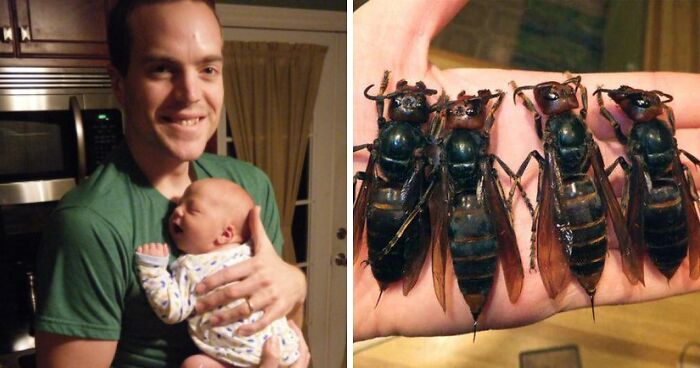 Father And Son, 15, Lose Their Lives In A Tragic Incident While Zip-Lining During Vacation