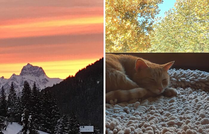 Hey Pandas, Take A Photo Of Something That Brings You Comfort (Closed)