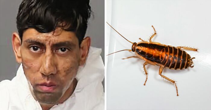 “Kafka, Is That You?”: Man, 25, Accused Of Taking Two Lives Claims A Cockroach Ordered Him To Do So