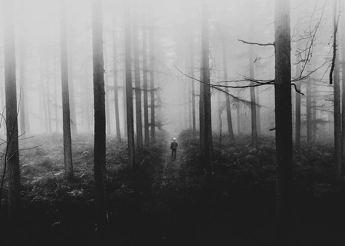 Person walking alone on a foggy forest path, evoking a sense of narrowly avoided kidnapping and disturbing online threads.