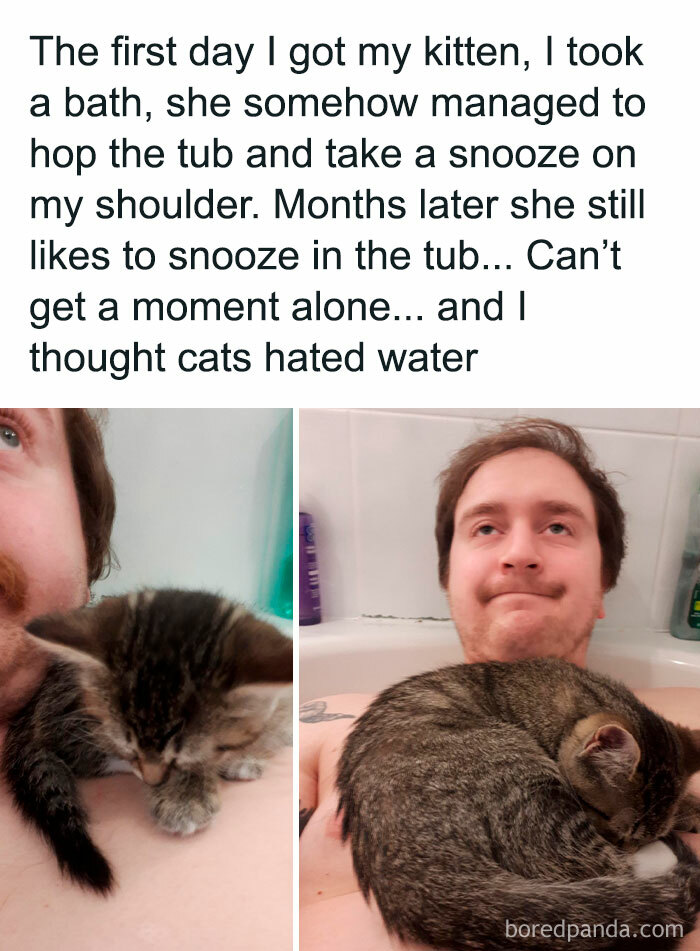 Man in bathtub with a kitten snoozing on his shoulder and later curled up in the tub, showcasing cute cat memes.