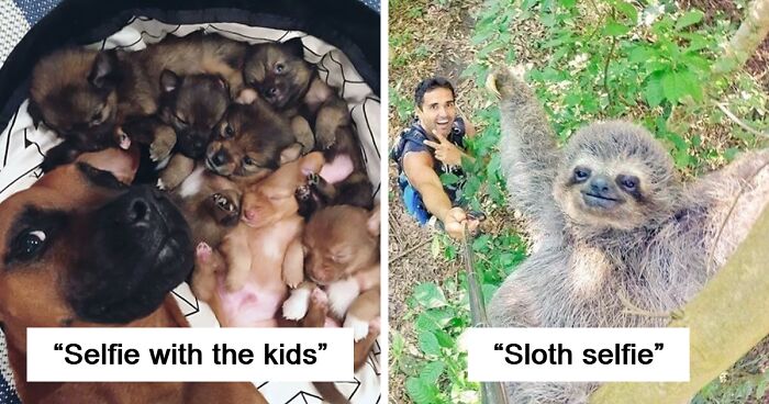 105 Animals Who Can Take A Better Selfie Than You Ever Will