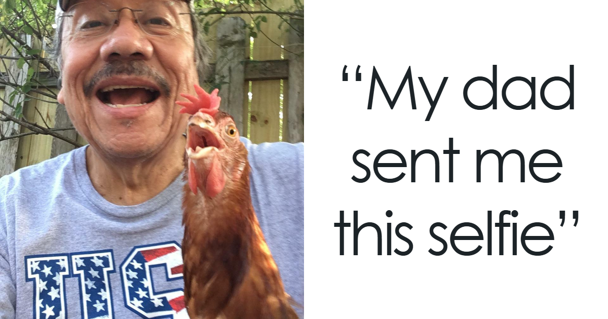 105 Funny, Wholesome And Derpy Animal Selfies You 100% Deserve To See - Bored Panda