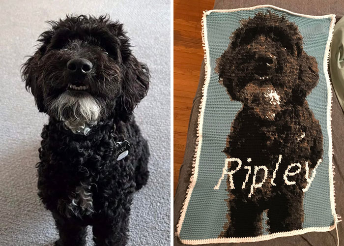 Black curly dog sitting next to a crochet blanket featuring a detailed portrait of the same dog and the name Ripley.