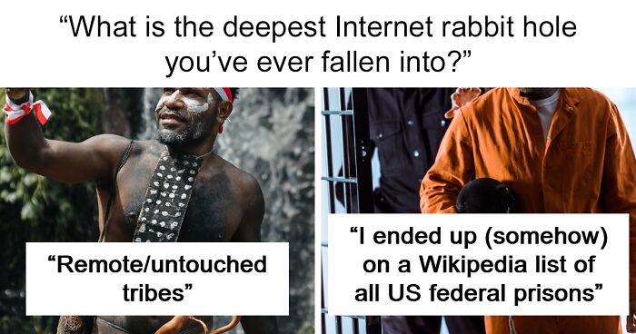 “It Got Very Dark Very Quickly”: 101 Internet Rabbit Holes That Took Over People’s Lives