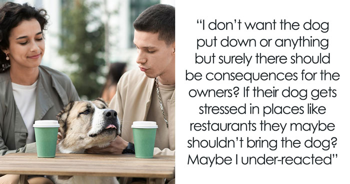 Dog Bites 9YO Boy At Restaurant While Owners Just Watch, The Mom Ends Up Regretting Her Reaction