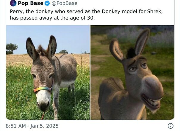 donkey-model-for-shrek-692b2808ab98d.jpg