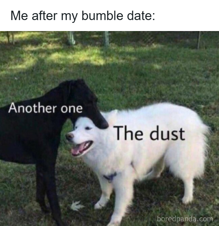 Two dogs outside with text about dating, humorously referencing perfectly unhinged tweets on dating experiences.