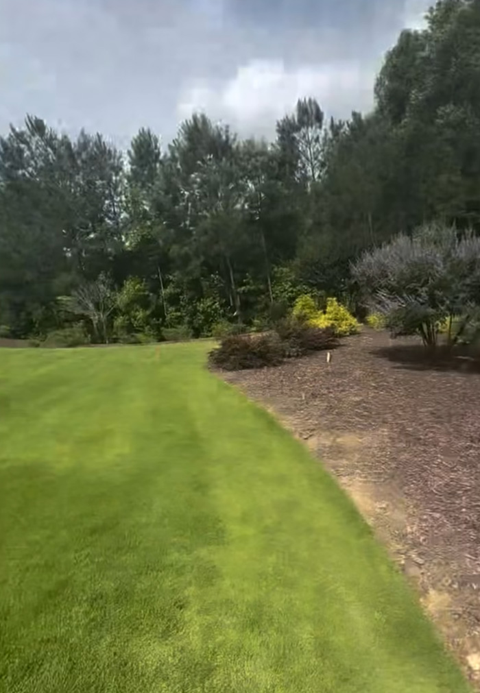 Lawn bordered by painted tree line and landscaped bushes under cloudy sky, reflecting tree law dispute.