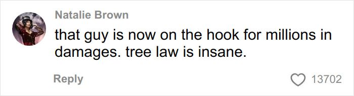 Social media comment criticizing tree law after neighbor bulldozes all trees, sparking a heated viral debate. Social media comment criticizing tree law after neighbor bulldozes all trees, sparking a heated viral debate.