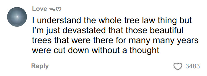 Comment expressing devastation over trees being cut down, highlighting the controversy of tree law and neighbor disputes. Comment expressing devastation over trees being cut down, highlighting the controversy of tree law and neighbor disputes.