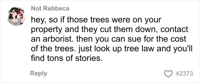 Comment explaining tree law advice about suing for cutting down trees on private property, sparking debate. Comment explaining tree law advice about suing for cutting down trees on private property, sparking debate.