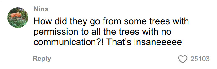 Comment from Nina expressing frustration about trees being removed without communication, highlighting the tree law issue. Comment from Nina expressing frustration about trees being removed without communication, highlighting the tree law issue.